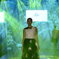 India Beach Fashion Week Day 1 All Shows with Showstoppers Stills | Picture 1322154