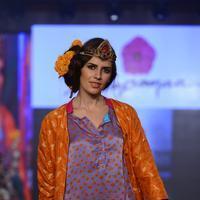 India Beach Fashion Week Day 1 All Shows with Showstoppers Stills | Picture 1322155