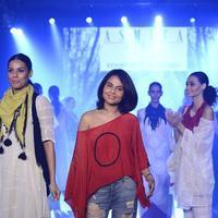 India Beach Fashion Week Day 1 All Shows with Showstoppers Stills | Picture 1322163