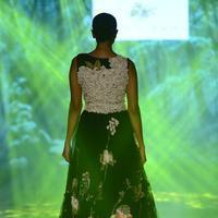 India Beach Fashion Week Day 1 All Shows with Showstoppers Stills | Picture 1322164