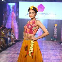 India Beach Fashion Week Day 1 All Shows with Showstoppers Stills | Picture 1322176