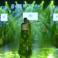 India Beach Fashion Week Day 1 All Shows with Showstoppers Stills | Picture 1322183