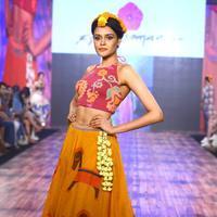 India Beach Fashion Week Day 1 All Shows with Showstoppers Stills | Picture 1322185