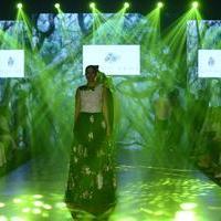 India Beach Fashion Week Day 1 All Shows with Showstoppers Stills | Picture 1322191