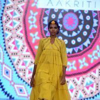 India Beach Fashion Week Day 1 All Shows with Showstoppers Stills | Picture 1322200