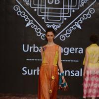 India Beach Fashion Week Day 1 All Shows with Showstoppers Stills | Picture 1322225