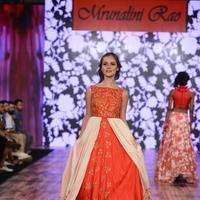 India Beach Fashion Week Day 1 All Shows with Showstoppers Stills | Picture 1322226