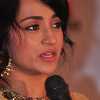 Trisha Krishnan - Nayaki Movie Press Meet Photos | Picture 1113837