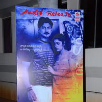 Anandini Movie Audio Launch Stills | Picture 888782