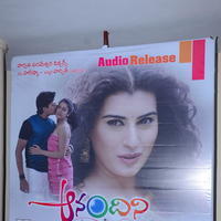 Anandini Movie Audio Launch Stills | Picture 888803