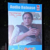 Anandini Movie Audio Launch Stills | Picture 888854
