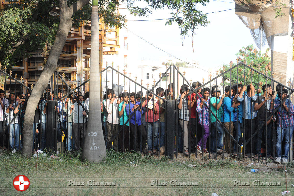Celebs at Memu Saitam Cricket Match 2014 Photos | Picture 889246