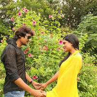 Ee Manase Movie Latest Photos | Picture 891669