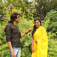 Ee Manase Movie Latest Photos | Picture 891674