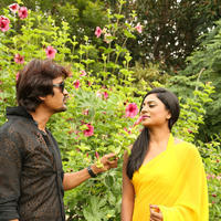Ee Manase Movie Latest Photos | Picture 891676