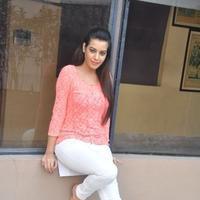 Diksha Panth at Kavvintha Movie Press Meet Photos | Picture 892840