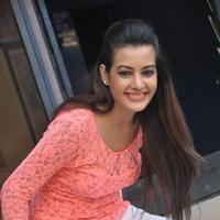 Diksha Panth at Kavvintha Movie Press Meet Photos | Picture 892846