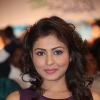 Madhu Shalini at Ladies and Gentleman Movie Audio Launch Photos | Picture 894059