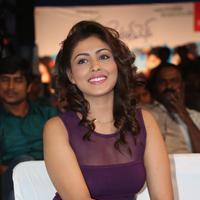 Madhu Shalini at Ladies and Gentleman Movie Audio Launch Photos | Picture 894071