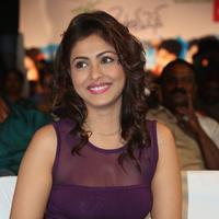 Madhu Shalini at Ladies and Gentleman Movie Audio Launch Photos | Picture 894083