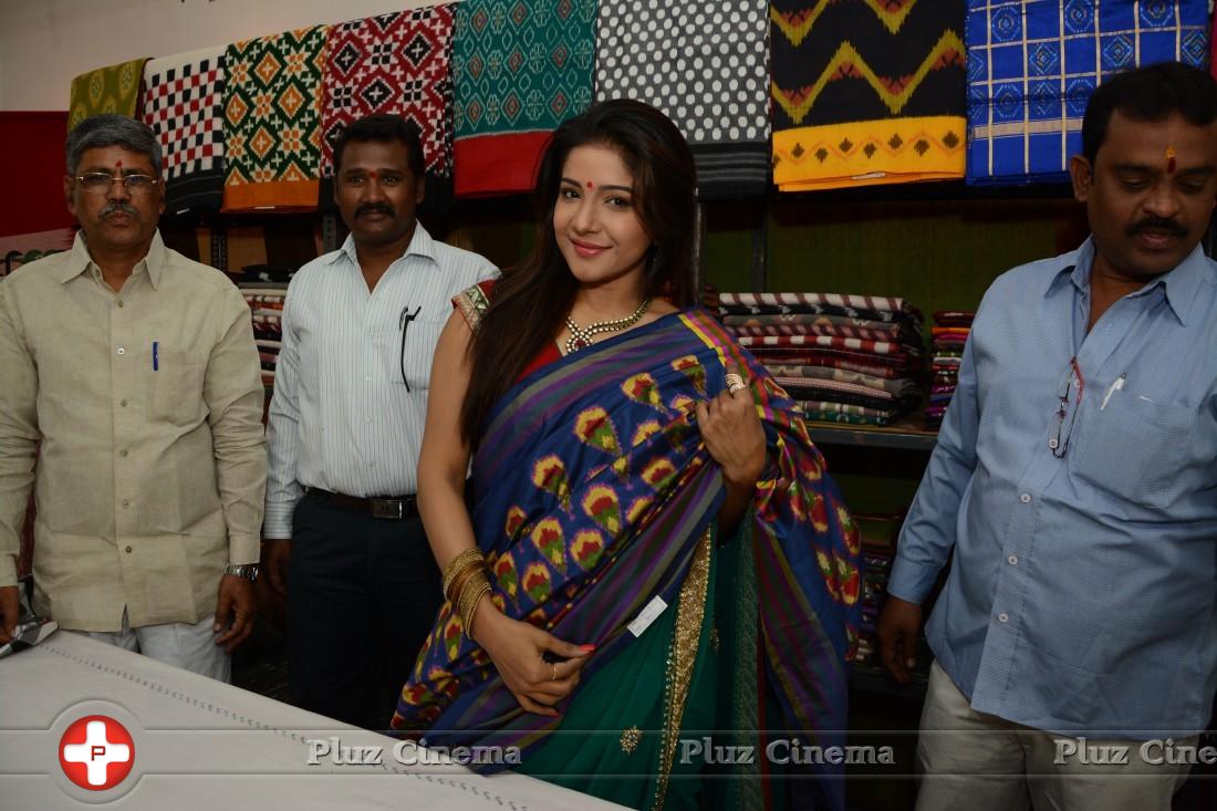 Sakshi Agarwal - Sakshi Agarwal inaugurates Pochampally IKAT art Mela at Chennai | Picture 895683