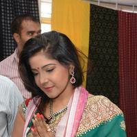 Sakshi Agarwal - Sakshi Agarwal inaugurates Pochampally IKAT art Mela at Chennai | Picture 895681
