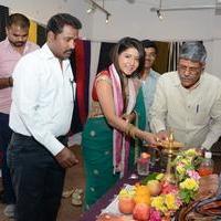 Sakshi Agarwal inaugurates Pochampally IKAT art Mela at Chennai | Picture 895695