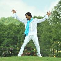 Varun Sandesh - Ee Varsham Sakshiga Movie New Photos | Picture 900147