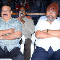 Chandrakala Movie Audio Launch Photos | Picture 905435