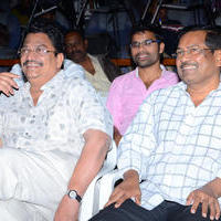 Chandrakala Movie Audio Launch Photos | Picture 905436