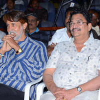 Chandrakala Movie Audio Launch Photos | Picture 905444