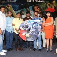 Andala Chandamama Movie Audio Launch Photos | Picture 907039