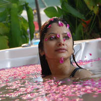 Monika Singh Hot Photoshoot Stills | Picture 906432