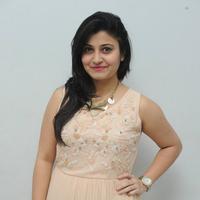 Vaishali Patel at Maaya Chitram Movie Audio Launch Photos | Picture 906495