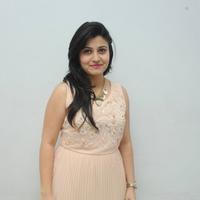 Vaishali Patel at Maaya Chitram Movie Audio Launch Photos | Picture 906503