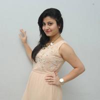 Vaishali Patel at Maaya Chitram Movie Audio Launch Photos | Picture 906507