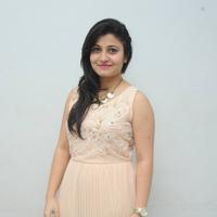 Vaishali Patel at Maaya Chitram Movie Audio Launch Photos | Picture 906510