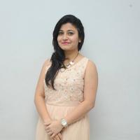 Vaishali Patel at Maaya Chitram Movie Audio Launch Photos | Picture 906512