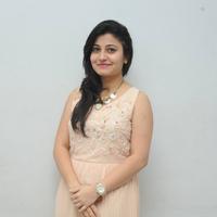 Vaishali Patel at Maaya Chitram Movie Audio Launch Photos | Picture 906513
