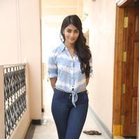 Pooja Hegde Latest Gallery | Picture 908273