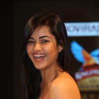 Meera Chopra at Kingfisher Ultra HIFW Day 1 Stills | Picture 910447