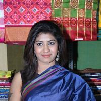 Geetanjali - Geethanjali at Pochampally IKAT Mela Stills