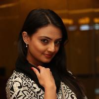 Nikitha Narayan at PK Movie Premiere Show Photos | Picture 912579