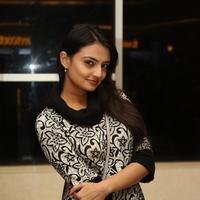 Nikitha Narayan at PK Movie Premiere Show Photos | Picture 912589