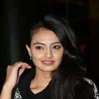 Nikitha Narayan at PK Movie Premiere Show Photos | Picture 912602