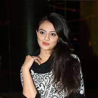 Nikitha Narayan at PK Movie Premiere Show Photos | Picture 912610