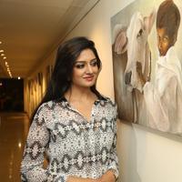 Vimala Raman - Solo art Show to Support Pratyusha Foundation Photos