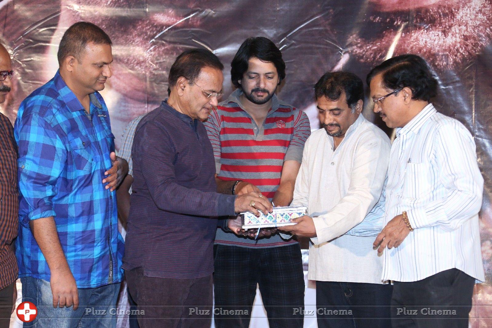O Manishi Katha Movie Audio Launch Photos | Picture 867409