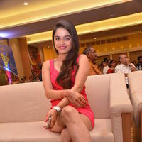 Sheena Shahabadi - Sheena Shahabadi at Gaddam Gang Movie Audio Launch Stills | Picture 869942