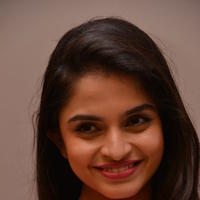 Sheena Shahabadi - Sheena Shahabadi at Gaddam Gang Movie Audio Launch Stills | Picture 869947